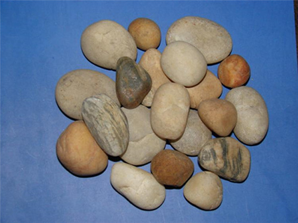 午夜AAAAAA片免费观看