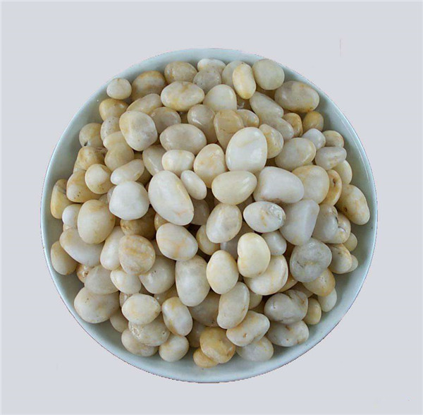 午夜AAAAAA片免费观看滤料