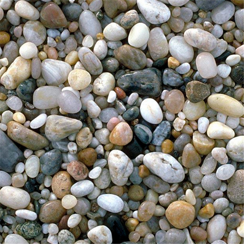 午夜AAAAAA片免费观看