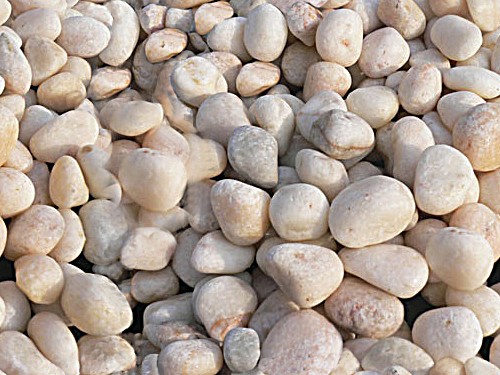 午夜AAAAAA片免费观看种类